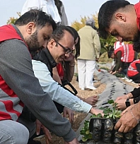 Malatya'da 40 dekarlık çilek bahçeleri kuruluyor!