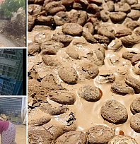Malatya'da 400 ton kayısı zarar görmüştü: 4 aydır üreticiye destek verilmedi...