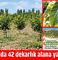 Malatya'da 42 dekarlık proje! Üretime katkı sağlayacak