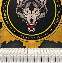 Malatya'da 46 bin 189 sentetik ecza ele geçirildi