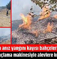 Malatya'da anız yangını kayısı bahçelerine sıçradı! Çiftçi ilaçlama makinesiyle alevlere koştu