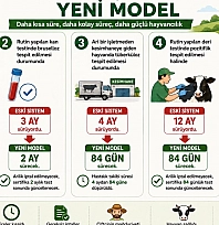 Malatya'da ari işletmelerde yeni dönem! Süresi 6 aydan 2 aya indirildi