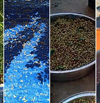 Malatya'da asırlık lezzet yaşatılıyor! Doğal yöntemlerle hazırlanıyor… Vitamin ve mineral deposu