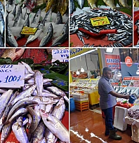 Malatya'da balık fiyatları dibi gördü: Fiyatlar 100 TL'ye düştü