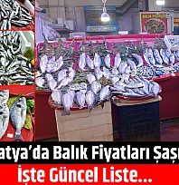 Malatya'da Balık Fiyatları Şaşırttı: İşte Güncel Liste