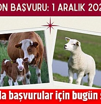 Malatya'da başvurular için bugün son gün!!