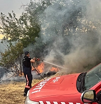 Malatya'da besi alanında yangın çıktı