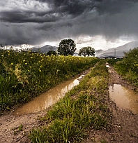 Malatya'da bugün hava nasıl olacak? İşte 2 Kasım tahmini