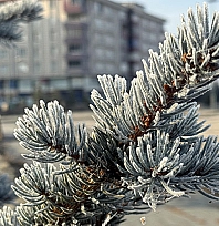 Malatya'da bugün hava nasıl olacak, yağış var mı?