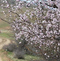 Malatya'da bugün hava nasıl olacak, yağış var mı?