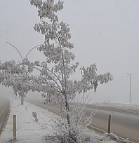 Malatya'da bugün sis, yarın kar bekleniyor