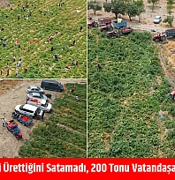 Malatya'da çiftçi ürettiğini satamadı, 200 tonu vatandaşa bedava dağıttı