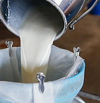 Malatya'da çiğ süt fiyatları belli oldu