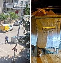 Malatya'da çöp konteyneri krizi büyüdü! Belediye 'Önce kendi aranızda anlaşın' dedi