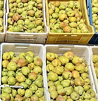 Malatya'da D300 karayolunda satışa çıktı: Kilosu 100 TL'den satılıyor
