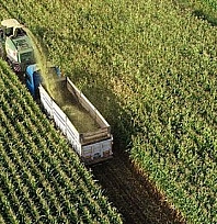 Malatya'da destek ödemeleri için  geri sayım!
