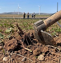 Malatya'da ekilmeyen araziler kiraya verilecek: İlçe ilçe askı listeleri açıklandı