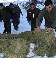 Malatya'da ekipler sahada: Yaban hayvanları unutulmadı