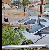 Malatya'da fırtınada devrilen ağaç otomobile ok gibi sapladı