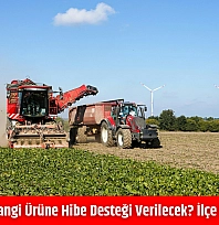 Malatya'da hangi ürüne hibe desteği verilecek? İlçe ilçe açıklandı