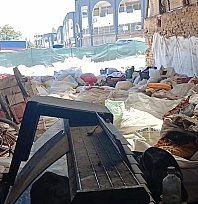 Malatya'da Hindistan'ı aratmayan görüntü: Hurdaların arasında kayısı depolamışlar!