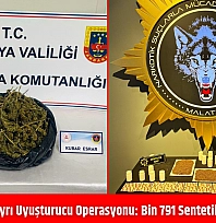 Malatya'da iki ayrı uyuşturucu operasyonu: bin 791 sentetik hap ele geçirildi