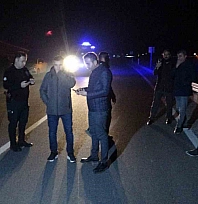 Malatya'da kaçan yarış atları karayoluna çıktı: 6 at telef oldu, 2 kişi yaralandı