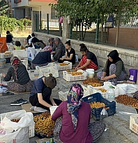 Malatya'da kasa başına 150 TL kazanacaklarken, ceza tehdidiyle karşılaştılar