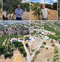 Malatya'da kayısıya alternatif olsun diye 200 yıllık ağaçlar aşılanıyor