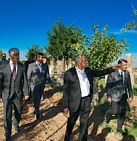 Malatya'da kesilmedi, taşındı: Ağaçların yüzde 80'i yeniden yeşerdi