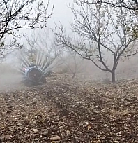 Malatya'da Kış Hazırlığı Başladı: Kayısı Bahçelerinde İlaçlama Mesaisi