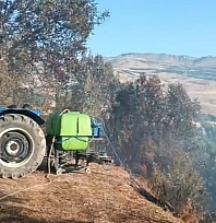 Malatya'da korkutan yangın: Ev ve ahırlar alevlere teslim oldu