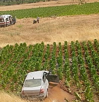 Malatya Adıyaman karayolunda kaza: Otomobil tütün tarlasına düştü: 3 yaralı