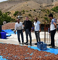 Malatya'da sel felaketi! Kayısılar büyük zarar gördü, çiftçi destek bekliyor