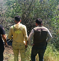 Malatya'da sıcaklar arttı, yangınlar başladı: Alevler 4 ilçeyi sardı