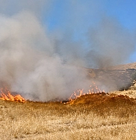 Malatya'da trafo kıvılcımı yangın çıkardı! Alevler evlere ulaşmadan söndürüldü