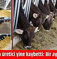 Malatya'da üretici yine kaybetti: Bir ayda iki zam!