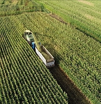 Malatya'da üretim 3 yılda 6 kat arttı