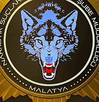 Malatya'da narkotik operasyonu: 2 bin 920 sentetik hap ele geçirildi