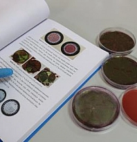 Malatya'da yapılan araştırma gerçeği ortaya çıkardı! Çiğ Sütten Geçiyor