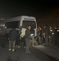 Malatya'da yarış atları kaçtı, 8 at telef oldu