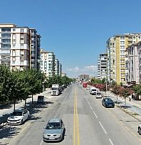 Malatya'da yeşil seferberlik: Kent genelinde binlerce ağaç toprakla buluştu