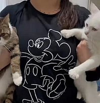 Malatya'da yıllardır süren yanlış anlayış çürütüldü