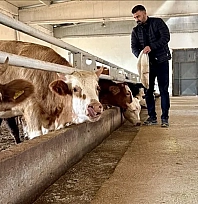 Malatya'da zorunlu olacak! Canlı hayvanlar saniye saniye izlenecek!