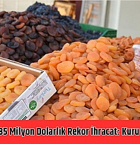 Malatya'dan 335 milyon dolarlık rekor ihracat: Kuru kayısı zirvede