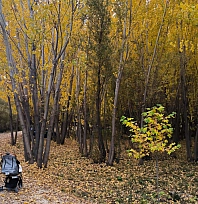 Malatya'dan kartpostallık görüntüler