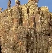 Malatya Doğal Yaşamı Koruyan Bir Şehir