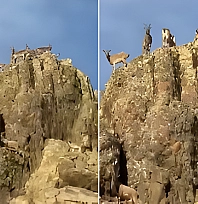 Malatya Doğal Yaşamı Koruyan Bir Şehir