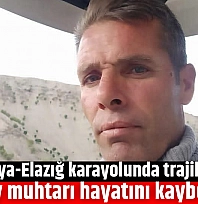 Malatya-Elazığ Karayolunda Trajik Kaza: Köy Muhtarı Hayatını Kaybetti