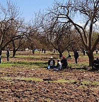 Malatya için merak edilen rapor yayımlandı…